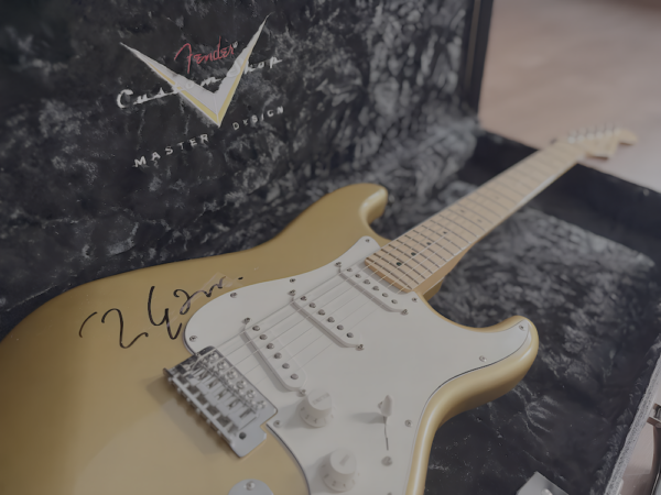 MARK KNOPFLER GOLD ANNIVERSARY FENDER STRATOCASTER GUITAR SIGNED, IAS CERTIFIED - Image 3