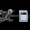 DOKKEN GEORGE LYNCH ESP SKULL N' BONES J.FROG GUITAR SIGNED - Image 7