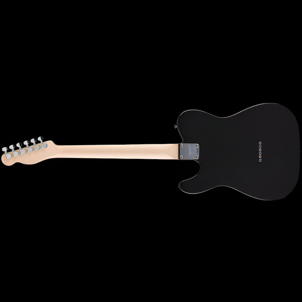 The Boss Bruce Springsteen USA Flag Fender Telecaster Signed - Image 3