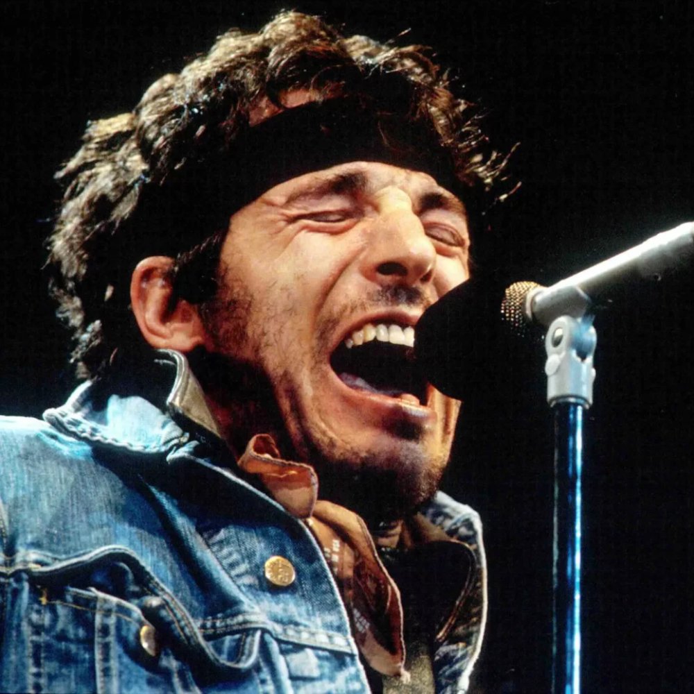 The Boss Bruce Springsteen USA Flag Fender Telecaster Signed - Image 5