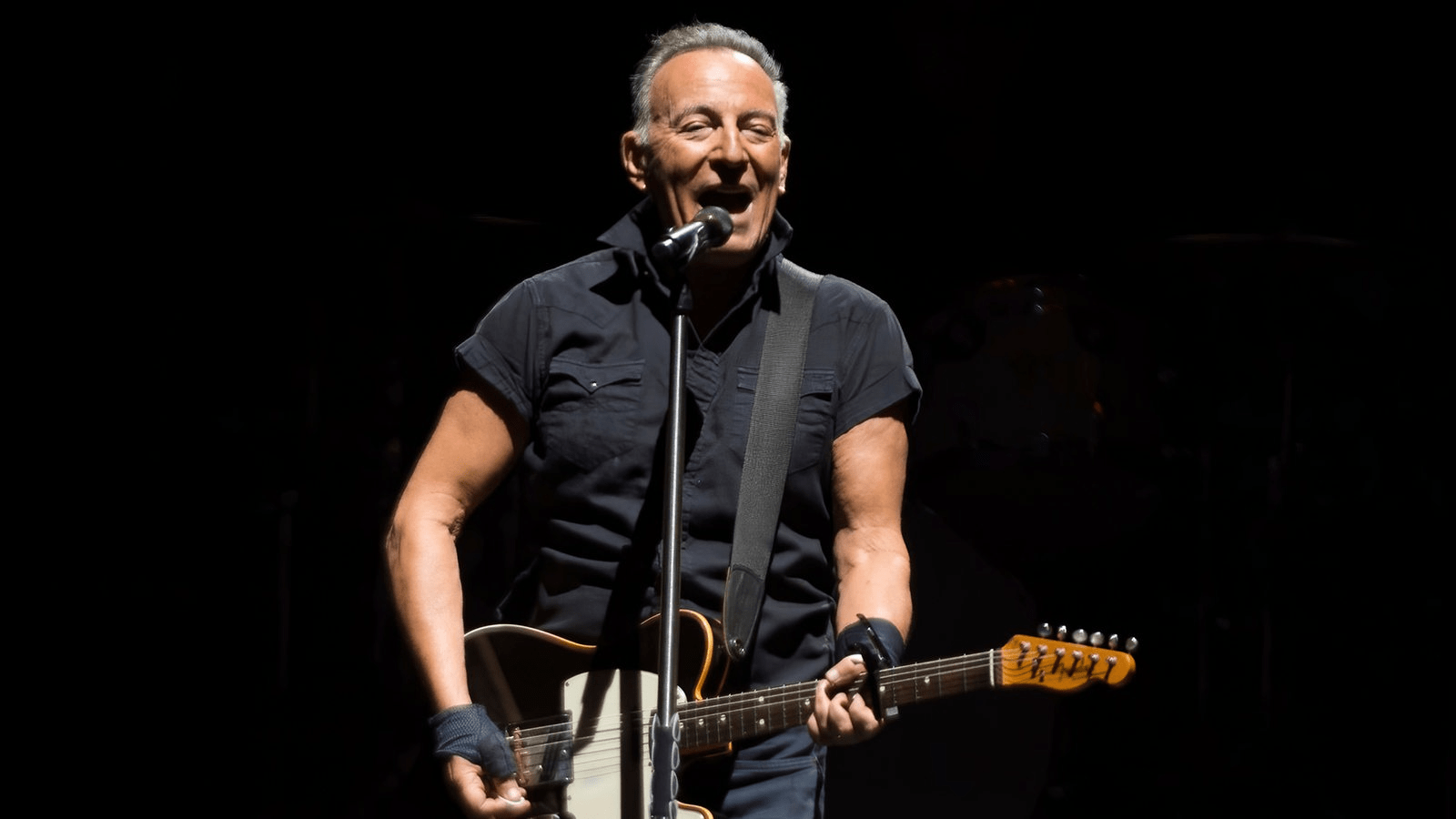 Bruce Springsteen Guitar